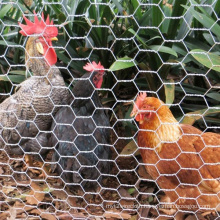 KAAPGN High quality malla gallinero x 1 iron mesh chicken wire netting for sale